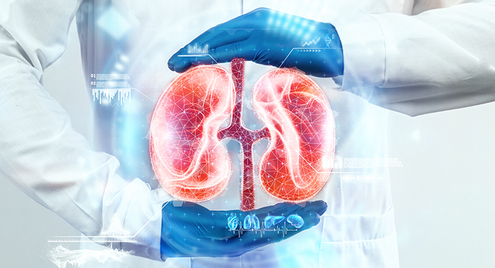 How Exposure to Hot and Cold Affects Kidney Health